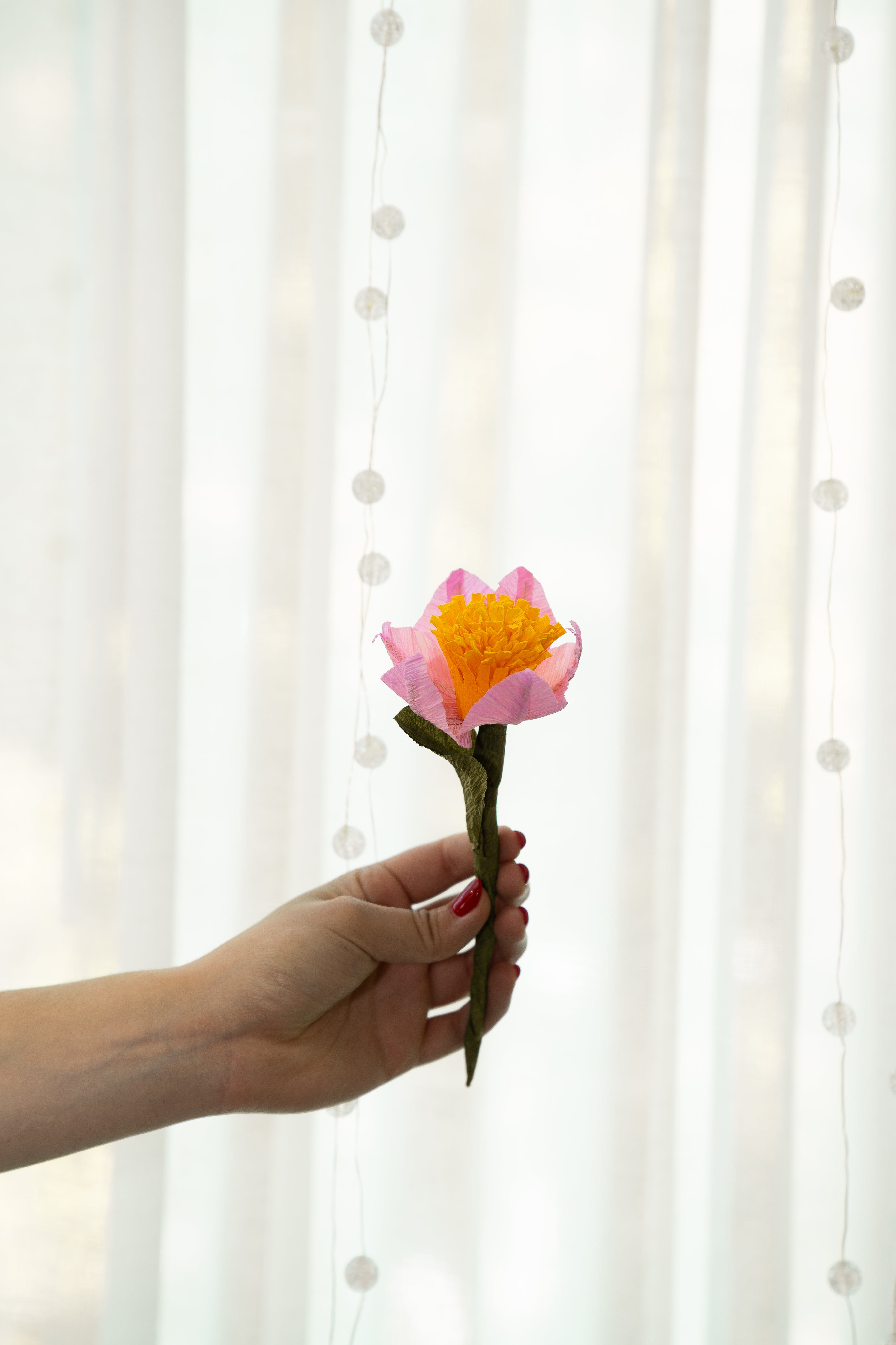 Flores Eternas | Hechas a Mano