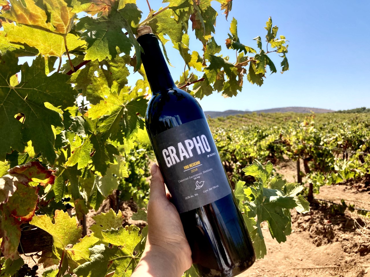 Vino Grapho (750ml) | Vino Armonizado con Palabras