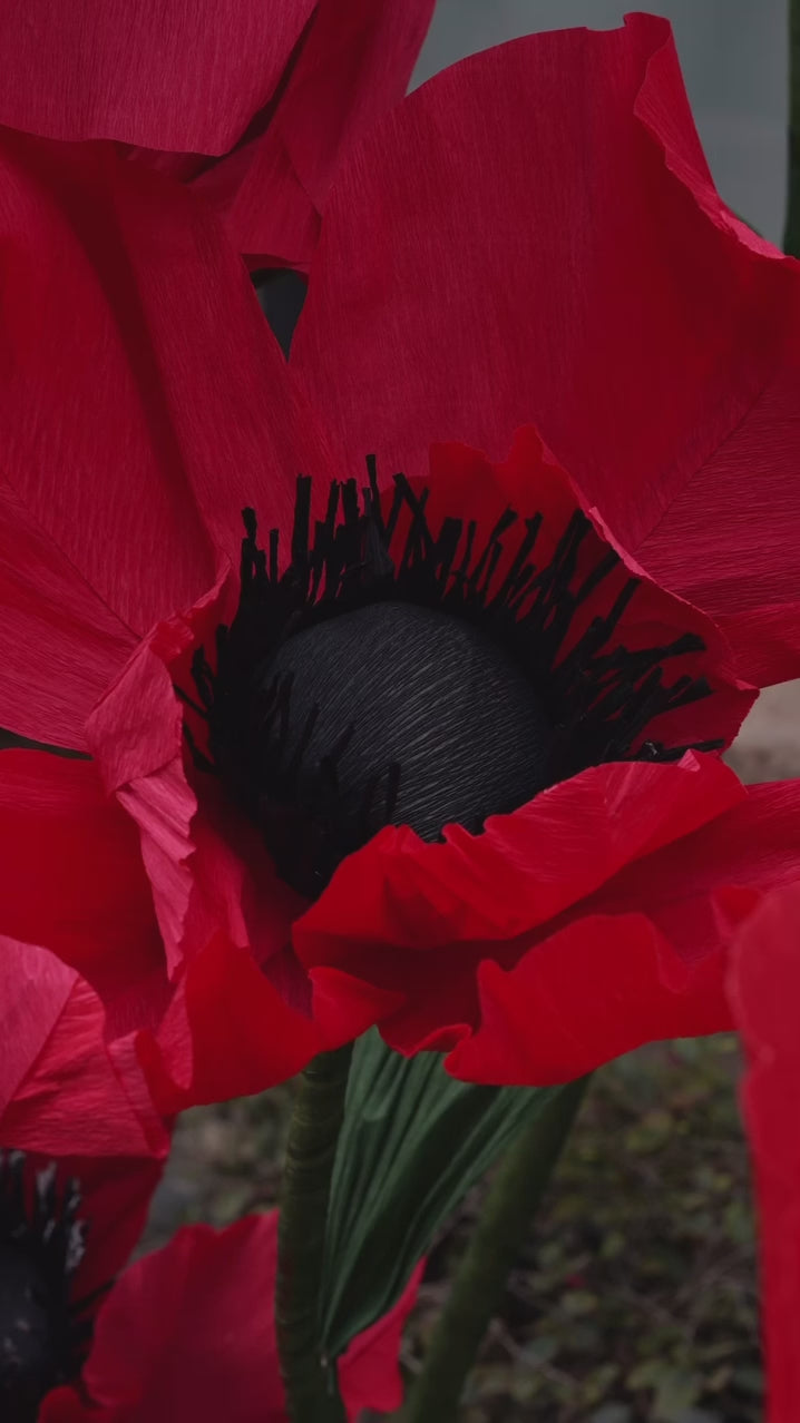 Flor Eterna Gigante | Hecha a Mano