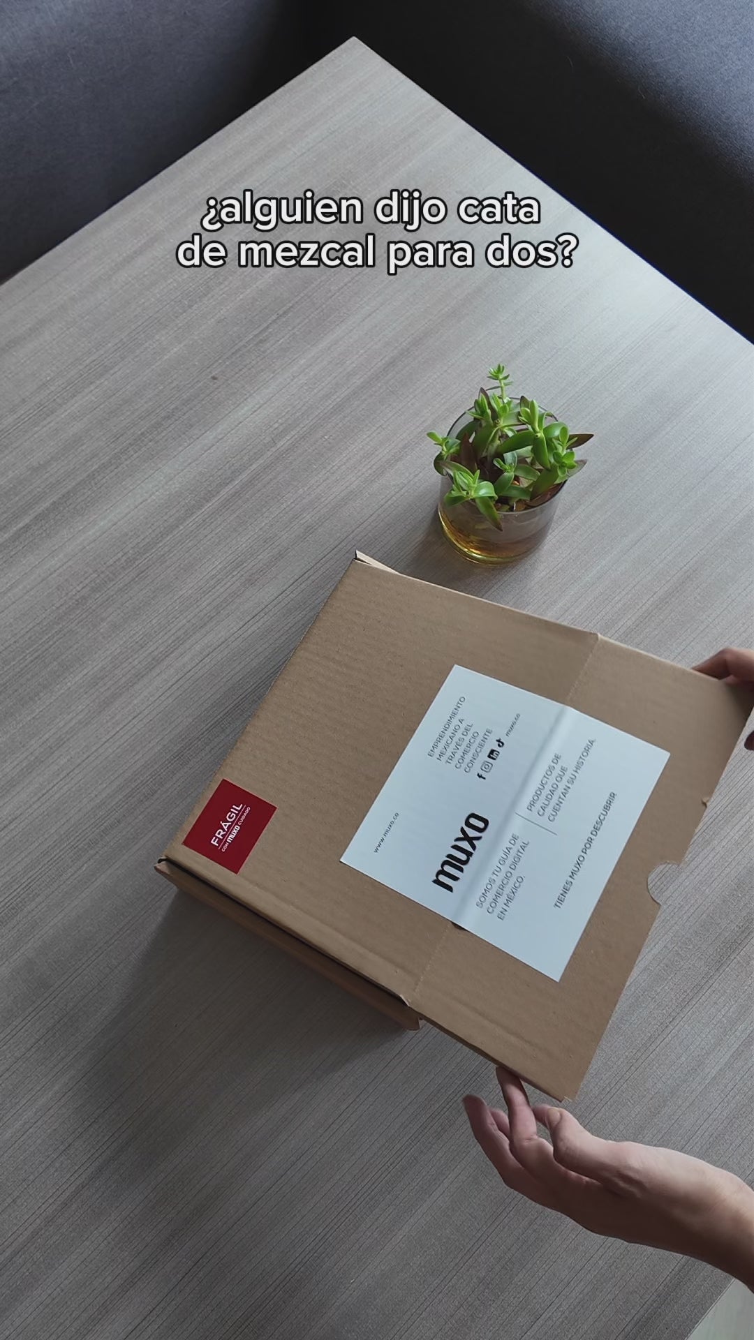 Cata de Mezcal Premium Cerámica