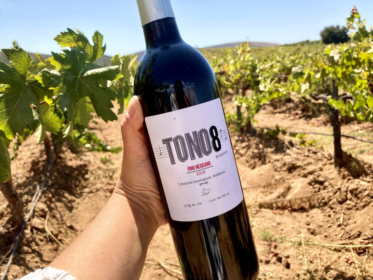 Vino Tono8 (750ml) | Vino Armonizado con Música